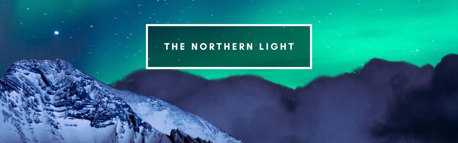 the northern light newsletter