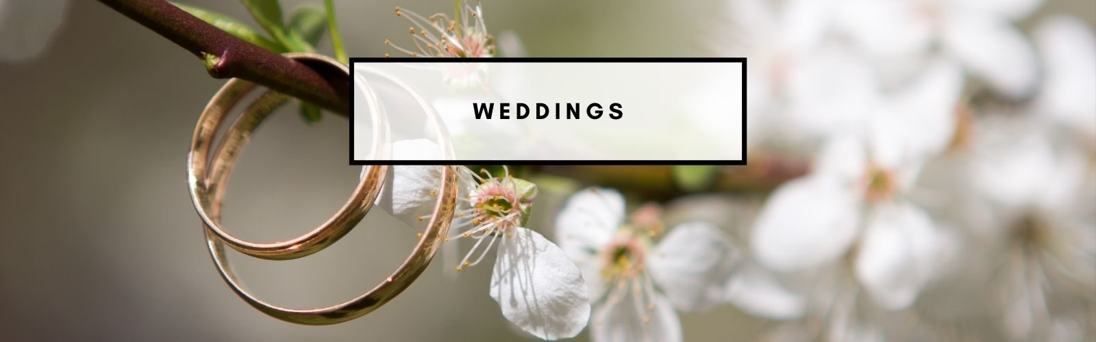 weddings